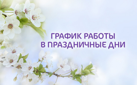 Режим работы библиотек в майские праздники